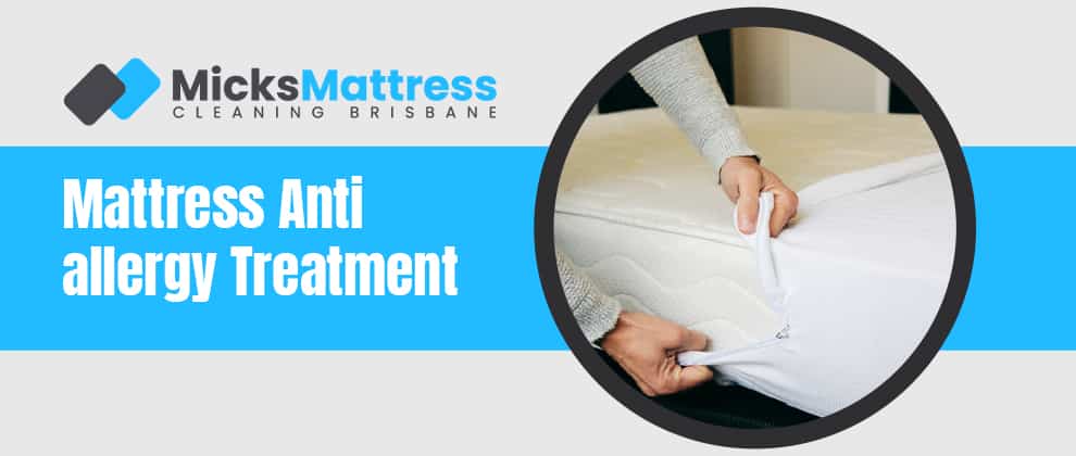 allergy mattress pads reviews