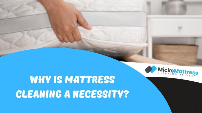 Why Is Mattress Cleaning a Necessity